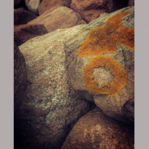 9. Zen Rocks, Emmet Carlsson